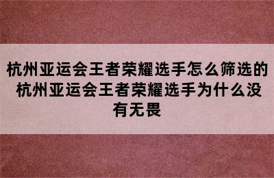 杭州亚运会王者荣耀选手怎么筛选的 杭州亚运会王者荣耀选手为什么没有无畏